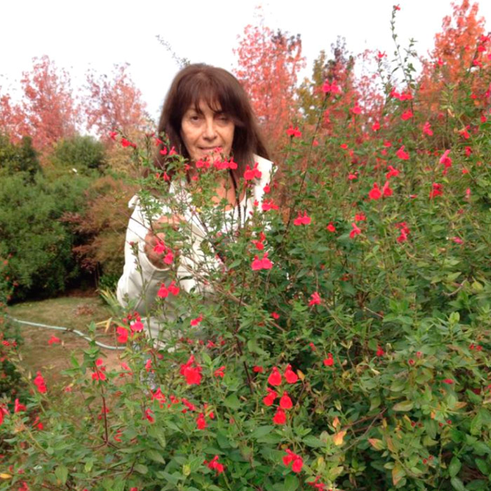 Luz In&eacute;s Flores