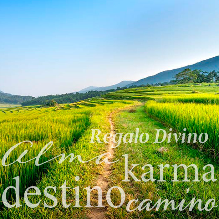 Curso de Numerología Tántrica