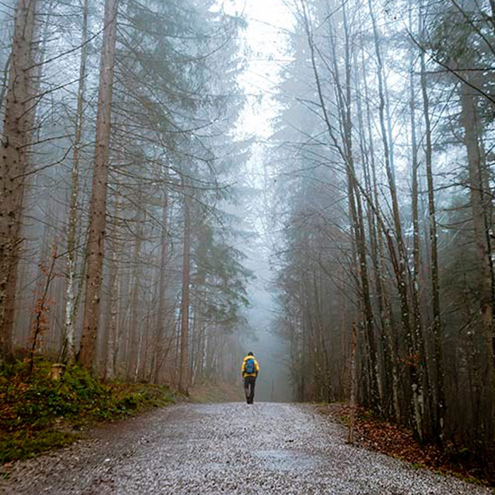 Curso de Numerología Tántrica