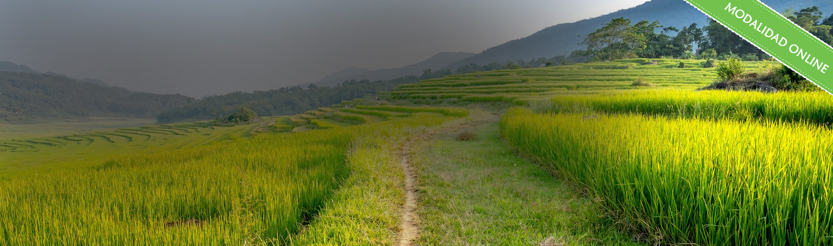 Curso Numerolog&iacute;a T&aacute;ntrica